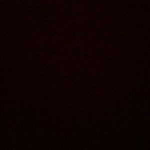 Meet your Posher, Tika